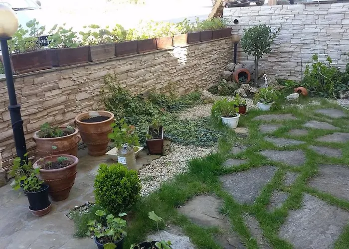 Domus Extra Apartament *